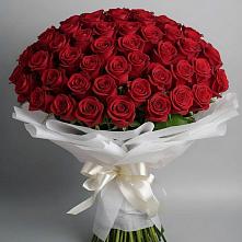 Букет 101 Красная роза Блэк Мэджик в Горячеводском
