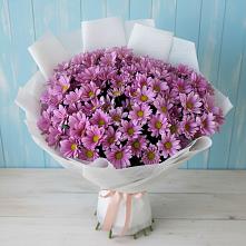 Букет цветов из:  Хризантемы #REPLACE_PRED# Горячеводском
