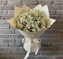 Букет цветов из:  Ромашки #REPLACE_PRED# Горячеводском