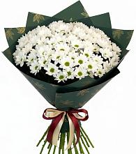 Букет цветов из:  Хризантемы в Горячеводском