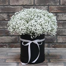 Цветочная композиция из Гипсофила в шляпной коробке в Горячеводском