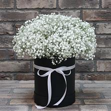 Цветочная композиция из Гипсофила в шляпной коробке в Горячеводском