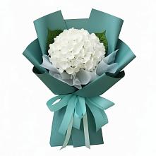 Букет цветов из:  Гортензия в Горячеводском